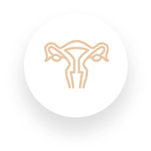 cirurgia ginecologica em salvador procedimentos