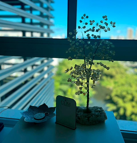 A imagem mostra um pequeno arranjo decorativo sobre uma mesa, possivelmente em um consultório em Salvador, BA. No centro da imagem, há uma delicada árvore ornamental feita de pequenos cristais ou pedras translúcidas, montada sobre uma base de rocha. A árvore está posicionada em frente a uma janela, através da qual se pode ver uma vista urbana com edifícios e vegetação ao fundo, sob um céu azul claro. Ao lado da árvore, à esquerda, há uma pequena tigela decorativa com um padrão intrincado e uma moeda ou disco metálico dentro dela. À direita da árvore, há um pequeno quadro de metal com o nome "Clin" gravado, possivelmente uma abreviação de "Clínica" ou o nome da clínica em questão. A mesa é de cor clara, contrastando com a vegetação verde visível através da janela. As linhas horizontais das estruturas externas vistas pela janela adicionam uma sensação de modernidade ao ambiente. A luz natural que entra pela janela ilumina a cena, criando um ambiente agradável e tranquilo. A composição da imagem sugere um ambiente profissional e acolhedor, adequado para um consultório médico ou de outro tipo de profissional de saúde.
